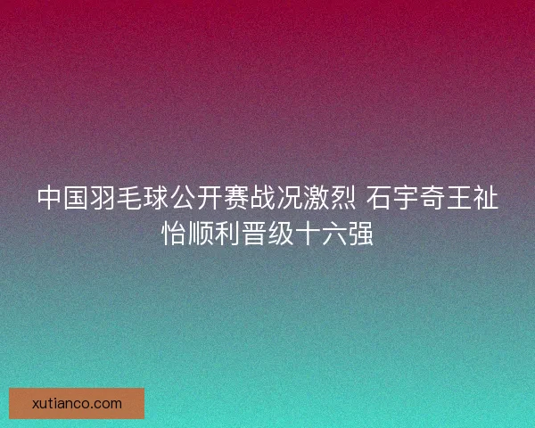 中国羽毛球公开赛战况激烈 石宇奇王祉怡顺利晋级十六强 中国羽毛球公开赛战况激烈 石宇奇王祉怡顺利晋级十六强