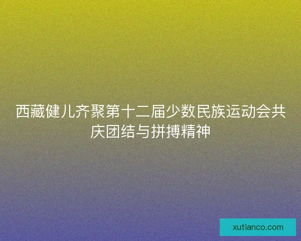 西藏健儿齐聚第十二届少数民族运动会共庆团结与拼搏精神